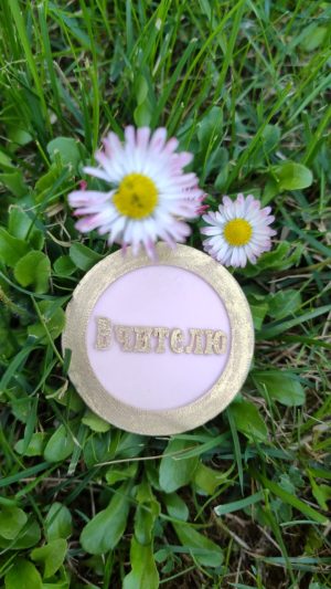 Молд вчителю