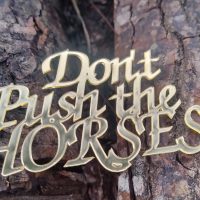 Топер Don't push the horses