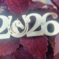 Топер 2026 з підковою,золото