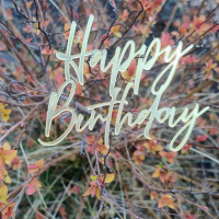 Топер HP10 золото